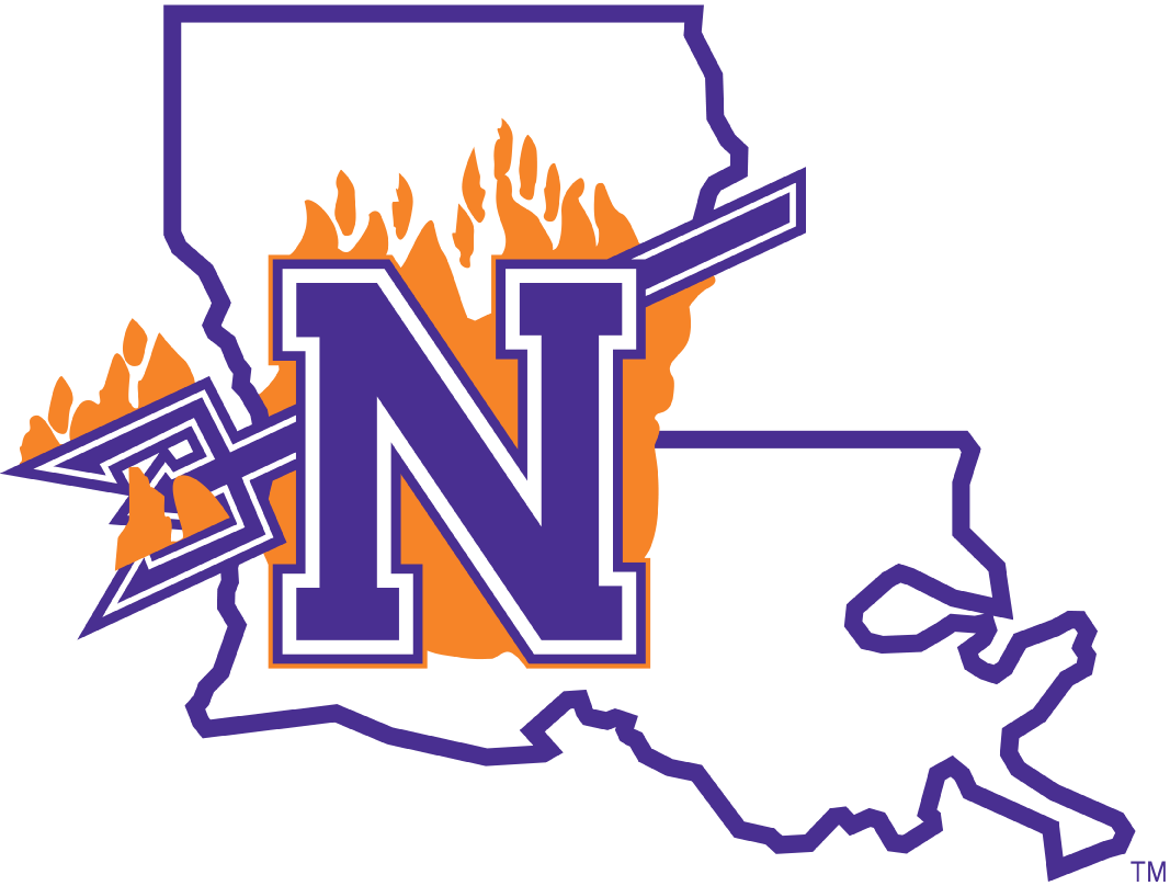 Northwestern State Demons 2008-2013 Primary Logo iron on transfers for clothing